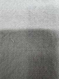 FJ380000 LONA DE ALGODÃO/LINHO ENSYU SENPU[Têxtil / Tecido] Fujisaki Textile subfoto