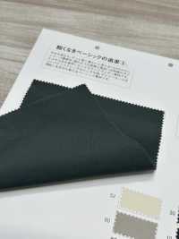 MT33600 Ashitamo -clima Fácil-[Têxtil / Tecido] Matsubara subfoto