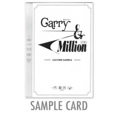 Cartela de amostras GINGA para Carry & Million