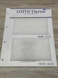 IS010W Lotus Thermo (IS010W 160cm De Largura)[Entrelinha] IWASAKI subfoto