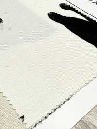 AP52101 Kuroneko Oxford (Rolo Redondo)[Têxtil / Tecido] COSMO TEXTILE subfoto