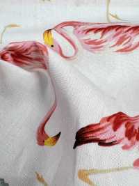 4235 SEVENBERRY® Broadcloth Elegante Relax Flamingo[Têxtil / Tecido] VANCET subfoto