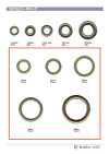 RING-3 Anel plano