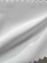 AD40000 T/C 208 Broadcloth[Têxtil / Tecido] COSMO TEXTILE subfoto