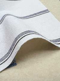 BC3543 Listra De Voile[Têxtil / Tecido] COSMO TEXTILE subfoto