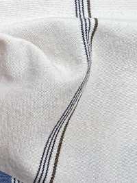 BC3543 Listra De Voile[Têxtil / Tecido] COSMO TEXTILE subfoto