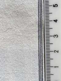 BC3543 Listra De Voile[Têxtil / Tecido] COSMO TEXTILE subfoto