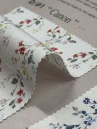 850523 SEVENBERRY® Broadcloth Broad Cotton Antique Di Canon[Têxtil / Tecido] VANCET subfoto