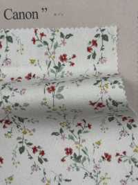 850523 SEVENBERRY® Broadcloth Broad Cotton Antique Di Canon[Têxtil / Tecido] VANCET subfoto