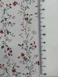 850523 SEVENBERRY® Broadcloth Broad Cotton Antique Di Canon[Têxtil / Tecido] VANCET subfoto