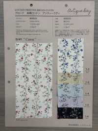 850523 SEVENBERRY® Broadcloth Broad Cotton Antique Di Canon[Têxtil / Tecido] VANCET subfoto