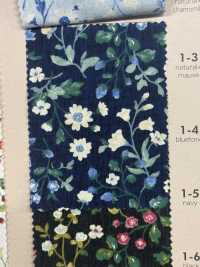 850525 SEVENBERRY® Broadcloth Broad Cotton Antique Day Berry Field[Têxtil / Tecido] VANCET subfoto