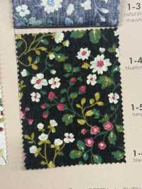 850525 SEVENBERRY® Broadcloth Broad Cotton Antique Day Berry Field[Têxtil / Tecido] VANCET subfoto