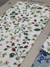 850525 SEVENBERRY® Broadcloth Broad Cotton Antique Day Berry Field[Têxtil / Tecido] VANCET subfoto