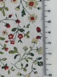 850525 SEVENBERRY® Broadcloth Broad Cotton Antique Day Berry Field[Têxtil / Tecido] VANCET subfoto