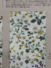 850525 SEVENBERRY® Broadcloth Broad Cotton Antique Day Berry Field[Têxtil / Tecido] VANCET subfoto