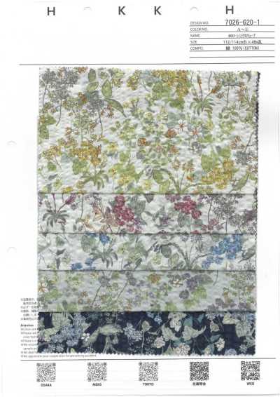 7026-620-1 80 Batista Miracle Wave Pequenas Flores Botânicas