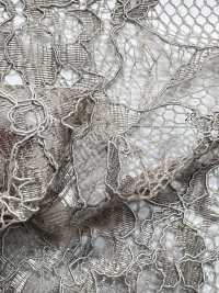 KKF8575-D5 Scala Ny/Ry Cord Lace De Uma Orelha[Têxtil / Tecido] Uni Textile(Komon Studio) subfoto