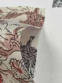 OKC034 60/Linha Estampada Flor[Têxtil / Tecido] Oharayaseni subfoto