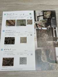 PASORAN Pasorun[Têxtil / Tecido] Shinko subfoto