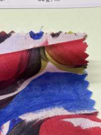 DP-7930-3 60 Impressão Digital De Gramado Flor Grande[Têxtil / Tecido] HOKKOH subfoto