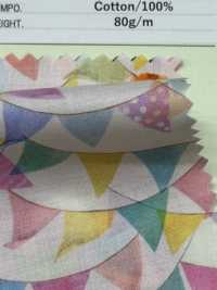 DP-4440-5 60 Bandeiras Com Impressão Digital Em Gramado[Têxtil / Tecido] HOKKOH subfoto