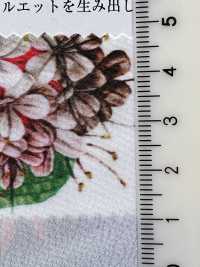 KDP1401-58-DD-783 80% De Estampa Em Tecido De Máquina De Escrever[Têxtil / Tecido] Uni Textile(Komon Studio) Foto secundária