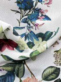 KDP2312SD-58-DD-233 Impressão Jato De Tinta Feminina Dechin Wide Wide[Têxtil / Tecido] Uni Textile(Komon Studio) Foto secundária