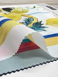 KDP2312SD-58-DD-241 Impressão Jato De Tinta Feminina Dechin Wide Wide[Têxtil / Tecido] Uni Textile(Komon Studio) Foto secundária