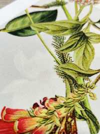 KDP7711-58-DD899 Impressão Jato De Tinta De Largura Ampla Em Gorgorão Claro[Têxtil / Tecido] Uni Textile(Komon Studio) Foto secundária