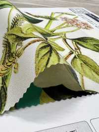 KDP7711-58-DD899 Impressão Jato De Tinta De Largura Ampla Em Gorgorão Claro[Têxtil / Tecido] Uni Textile(Komon Studio) Foto secundária