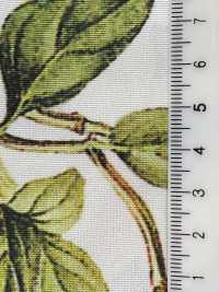 KDP7711-58-DD899 Impressão Jato De Tinta De Largura Ampla Em Gorgorão Claro[Têxtil / Tecido] Uni Textile(Komon Studio) Foto secundária