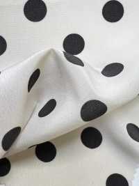 KKP1400-D10 Design Feminino[Têxtil / Tecido] Uni Textile(Komon Studio) Foto secundária