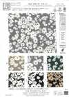 KKP1400-58-DSB-151 Feminish Dechine, Largura larga