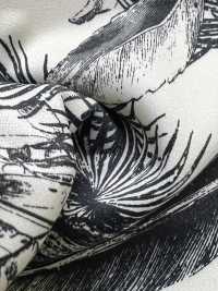 KKP1908R-D9 Cetim Elástico[Têxtil / Tecido] Uni Textile(Komon Studio) Foto secundária