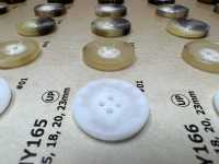 MY165 Botões De Resina Com 4 Furos Em Forma De Chifre De Búfalo Aquático[Botão] DAIYA BUTTON(DAIYA BUTTON) subfoto