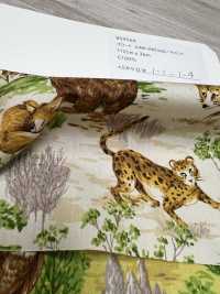 850569 Broadcloth Junk Vintage Savannah[Têxtil / Tecido] VANCET subfoto