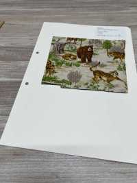 850569 Broadcloth Junk Vintage Savannah[Têxtil / Tecido] VANCET subfoto