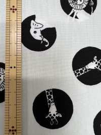 850567 Broadcloth Dot[Têxtil / Tecido] VANCET subfoto