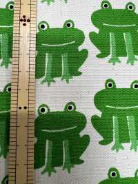 850577 Oxford Cotton Frog Não Branqueado[Têxtil / Tecido] VANCET subfoto