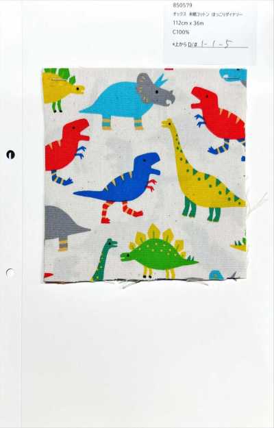 850579 Oxford de Algodão Cru Dinossauro Aconchegante