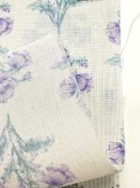 850573 SEVENBERRY® Lawn Algodão Cru Soleil Azul / Flores Silvestres[Têxtil / Tecido] VANCET subfoto