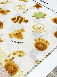 AP61208-DR Nunomonogatari Loomstate (Meio Dobrado)[Têxtil / Tecido] COSMO TEXTILE subfoto