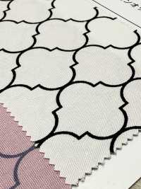 SP5500 Oxford Marroquino (Redondo)[Têxtil / Tecido] COSMO TEXTILE subfoto