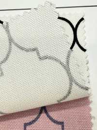 SP5500-DR Oxford Marroquino (Dobrado Ao Meio)[Têxtil / Tecido] COSMO TEXTILE subfoto