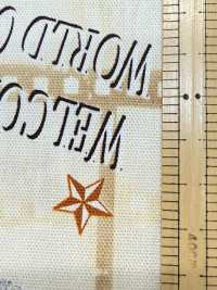 AP55201-DR Cinefabric Oxford (Dobrado Ao Meio)[Têxtil / Tecido] COSMO TEXTILE subfoto