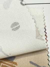 AP55110 Chá Oxford (Rolo Redondo)[Têxtil / Tecido] COSMO TEXTILE subfoto