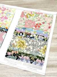 AP55808-DR Essential Grace 2 Oxford (Dobrado Ao Meio)[Têxtil / Tecido] COSMO TEXTILE Foto secundária