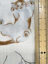 AP55205-DR Gaze Dupla Animal Pastel (Meia Dobra)[Têxtil / Tecido] COSMO TEXTILE subfoto