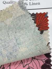 AP55803-DR Tela De Flores C/L (Dobrada Ao Meio)[Têxtil / Tecido] COSMO TEXTILE subfoto